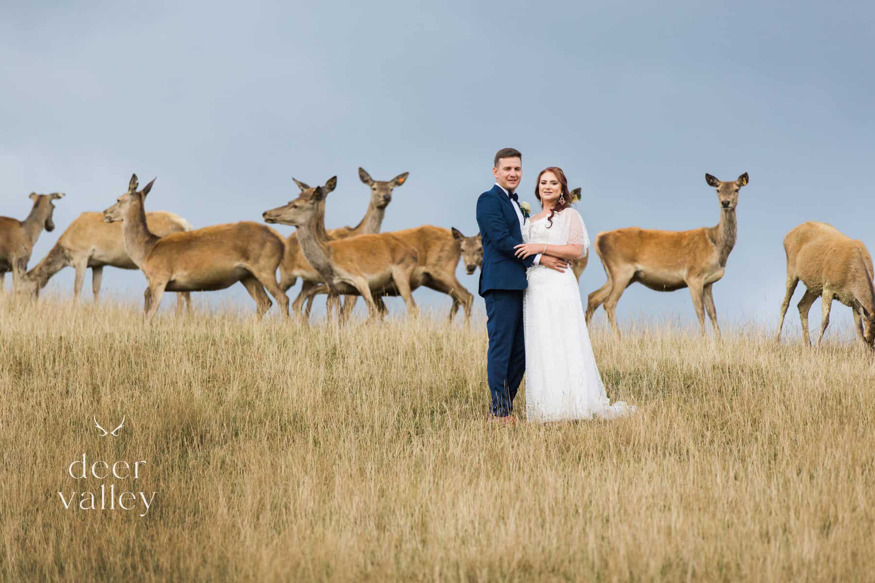 deer valley wedding venue bespoke wedding venue copy